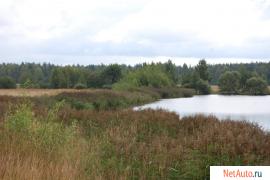 Продается участок 15 соток на берегу озера в д. Есино