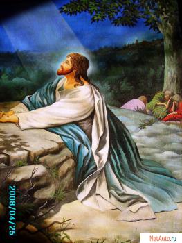 Украшение интерьера в квартиру, офис, дачу