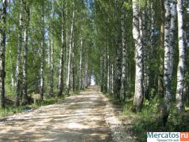 Продается земельный участок на Волге 14,5 соток,Тверская обл,Рже 2