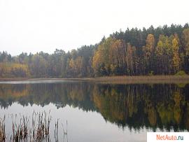 Участки в новом поселке рядом с водоемем.