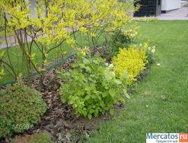 дизайнер, садовник 4