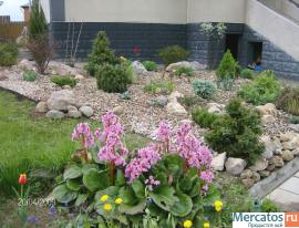 дизайнер, садовник 6