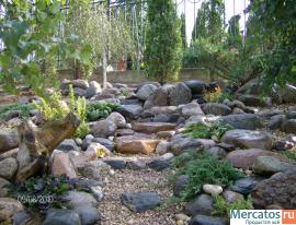 дизайнер, садовник 7