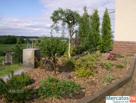 дизайнер, садовник 8