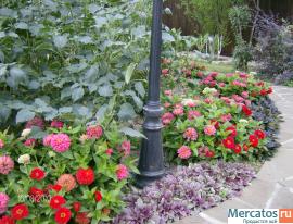 дизайнер, садовник 9