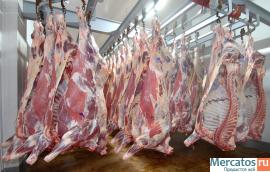 конина, глуб.зам.