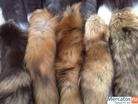 продам хвосты,в ассортименте. 3