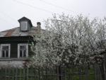 Дом бревенчатый 40 кв.м, ПМЖ, участок 16 сот., Киржачский р-н