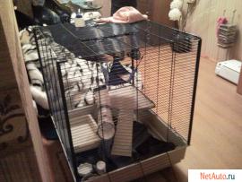 Продам: Клетка проволочная с аксессуарами и сумка пластиковая дл