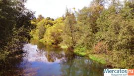 Прилесной участок на Истринском водохранилище.