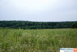 Земля на опушке леса для дачного строительства по Новорижско