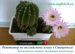 Английский по Вашей программе