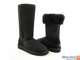 Сапожки UGG (Classic Tall Boots)