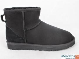 Сапожки UGG (Classic Mini Boots) 2
