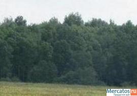 Недорого продам участок земли 12,72 га, по Ярославскому шоссе, 1