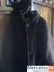 Новая зимняя мужская дублёнка, размер 52-54