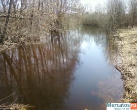 Дом с баней в двух метрах от реки