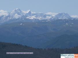 Путешествия по Горному Алтаю