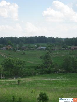 усадьба в Борисково