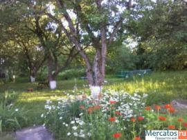 Продаю дачу 12 сот. по Новорязанскому ш. 85км от МКАД 2
