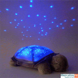 Черепаха ночник