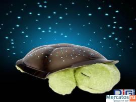 Черепаха ночник 2