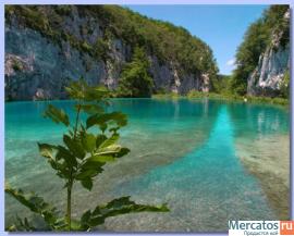 Горящие туры в Клубе путешествий Отпуск! 4