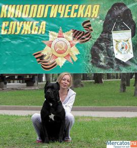 Дрессировка собак в Москве на Рублевском шоссе. 5