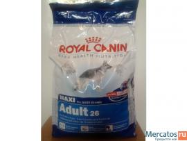 Корм Royal Canin Maxi Adult (4 кг)