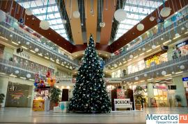 Услуги по декорированию помещений. 3