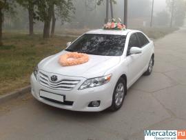 Предлагаем аренду автомобилей бизнес и представительского класса 4