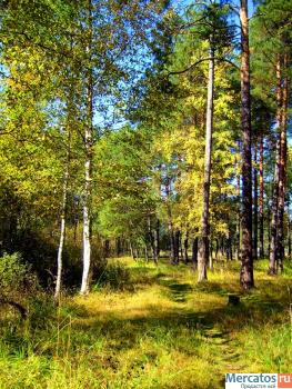 Участок 25 соток под ИЖС вблизи леса и реки.