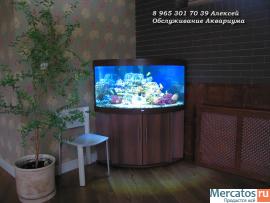 Чистка аквариума 10р за литр 2