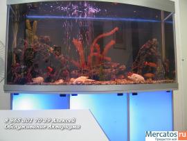 Чистка аквариума 10р за литр 3