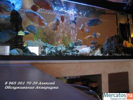 Чистка аквариума 10р за литр 4