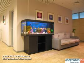 Чистка аквариума 10р за литр 5