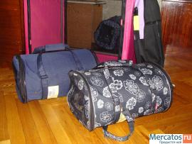 Переноски Ладиоли для кошек 3