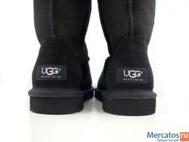Classic Tall от Ugg Australia (Все цвета,все размеры,огромные ск 6