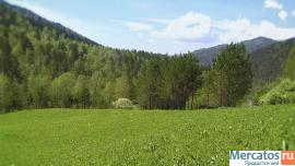 Земельный участок в Горном Алтае 9 гектаров за 3,6 млн.руб.
