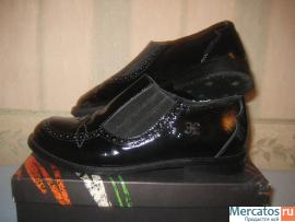 Фаби, Хуго Босс, Волк Сафари, Экко