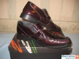 Фаби, Хуго Босс, Волк Сафари, Экко 2