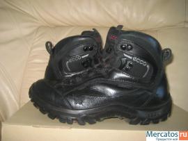 Фаби, Хуго Босс, Волк Сафари, Экко 5