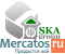 SKA group