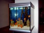 установка и обслуживание аквариумов
