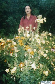 ФИТРОПРЕПАРАТЫ -РЕЦЕПТЫ