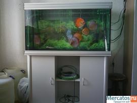 Продаю аквариум 375 л. б/у