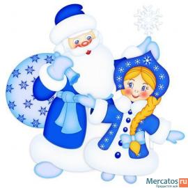 «Заказ Деда Мороза и Снегурочки»