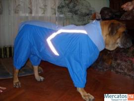 Пошив одежды для собак всех пород на заказ 8