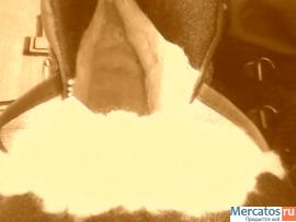 продаются лыжи 185 см,пластиковые с ботинками 37 р-ра 5