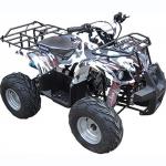 Квадроцикл IRBIS ATV 110 U